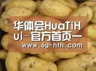 产品展示标题6