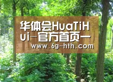 种植基地九
