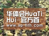 种植基地七