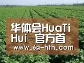种植基地五(图1)