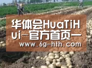 种植基地八