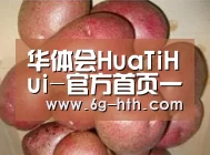 产品展示标题1