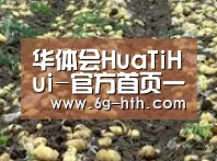 种植基地八(图1)