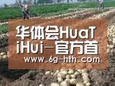 种植基地七(图1)
